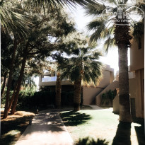 фото из отзыва ID 1886158