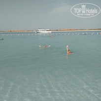 фото из отзыва ID 1886220