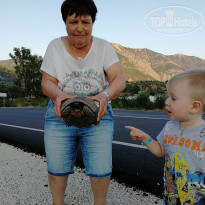 фото из отзыва ID 1886121