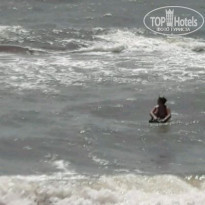 фото из отзыва ID 1886067