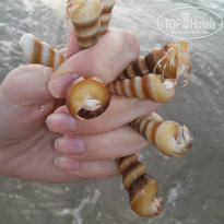 фото из отзыва ID 1886340