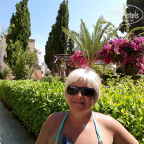 фото из отзыва ID 1886385