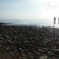 фото из отзыва ID 1886420