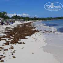 фото из отзыва ID 1885025