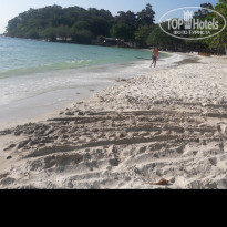 фото из отзыва ID 1886629