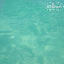 фото из отзыва ID 1886722