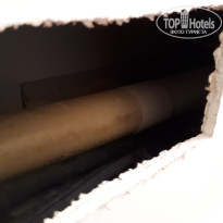 фото из отзыва ID 1886774