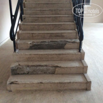 фото из отзыва ID 1886776