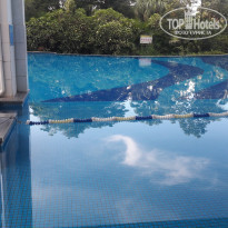 фото из отзыва ID 1886818