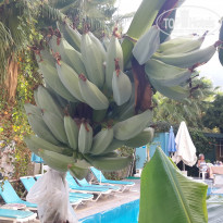 фото из отзыва ID 1886829