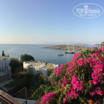 фото из отзыва ID 1886895