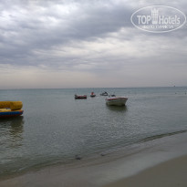 фото из отзыва ID 1886931