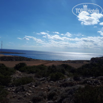 фото из отзыва ID 1886210