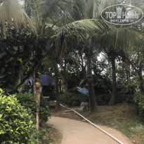 фото из отзыва ID 1886969