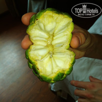 фото из отзыва ID 1887026