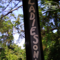 фото из отзыва ID 1887026