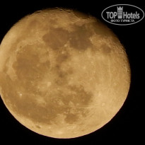 фото из отзыва ID 1887026