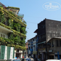 фото из отзыва ID 1887026