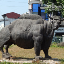 фото из отзыва ID 1887026