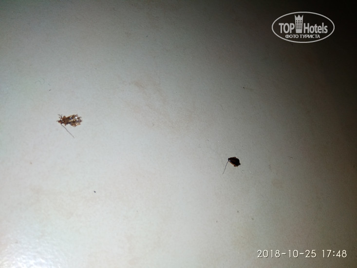 Casa Azure's Aquolim