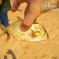 фото из отзыва ID 1887026