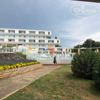 фото из отзыва ID 1887085