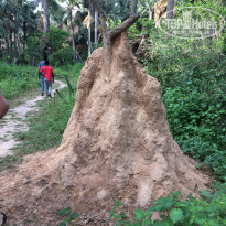 фото из отзыва ID 1887095