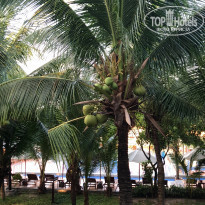 фото из отзыва ID 1887132