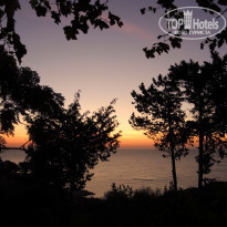 фото из отзыва ID 1887277