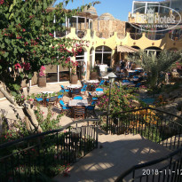 фото из отзыва ID 1887468