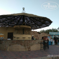 фото из отзыва ID 1887468