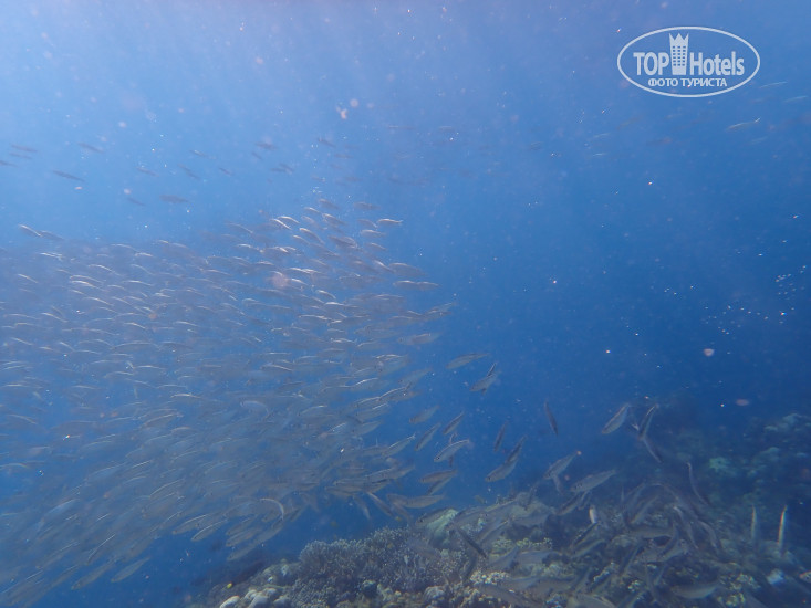 The Blue Abyss Resort