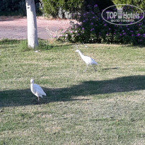 фото из отзыва ID 1887525