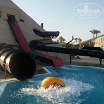 фото из отзыва ID 1887535