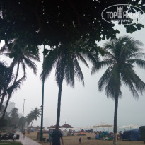 фото из отзыва ID 1887073