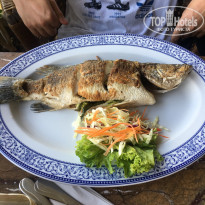 фото из отзыва ID 1887702