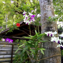 фото из отзыва ID 1887707