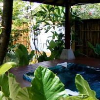 фото из отзыва ID 1887707