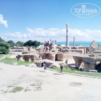 фото из отзыва ID 1887727