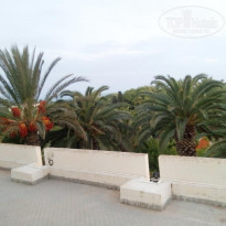 фото из отзыва ID 1887727