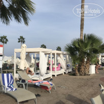 фото из отзыва ID 1887821