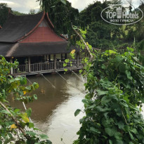 фото из отзыва ID 1887805