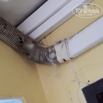 фото из отзыва ID 1887861