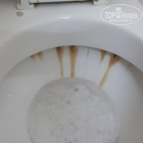 фото из отзыва ID 1887861