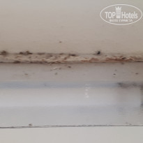 фото из отзыва ID 1887861