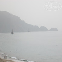 фото из отзыва ID 1887863