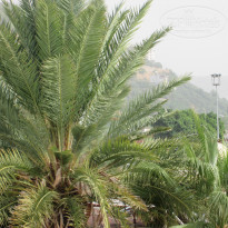 фото из отзыва ID 1887863