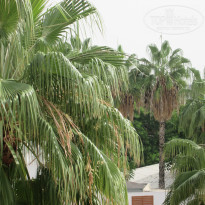 фото из отзыва ID 1887863