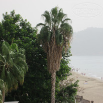 фото из отзыва ID 1887863