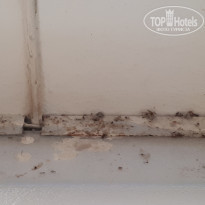 фото из отзыва ID 1887678